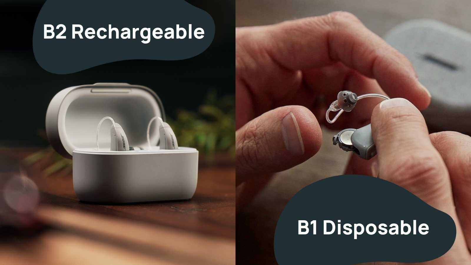 Bose disposable vs rechargeable batteries